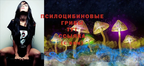 герыч Беломорск