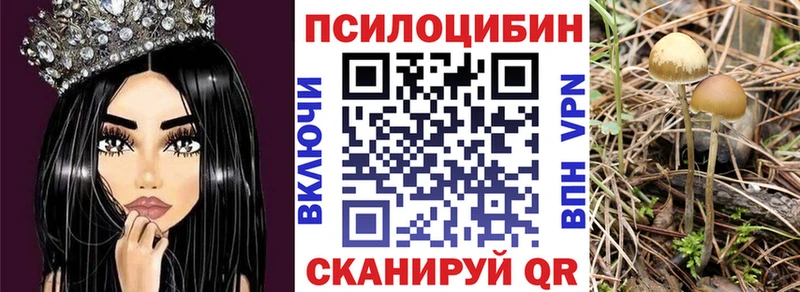 Псилоцибиновые грибы мицелий  как найти закладки  Верхняя Салда 